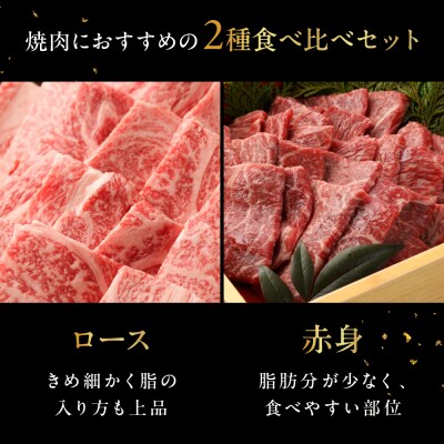 飛騨牛ロース・赤身焼肉セット(ロース200g・赤身300g)計 500g【冷凍配送】【22-44】