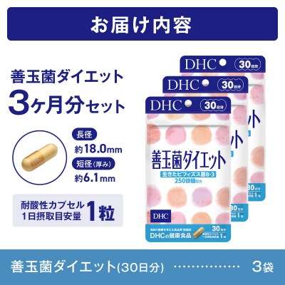 DHC 善玉菌ダイエット30日分 3ヶ月分セット(a1354)