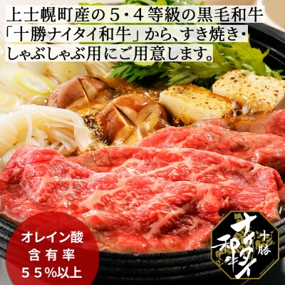 十勝ナイタイ和牛 モモスライスとハンバーグセット 計540g 北海道産 5・4等級黒毛和牛