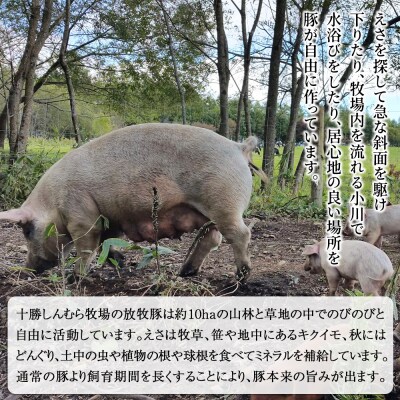 十勝しんむら牧場 放牧豚のハンバーグ 150g×10個 北海道産 冷凍