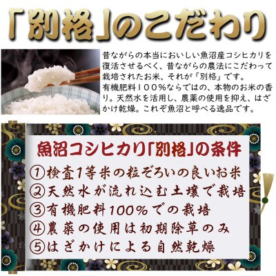 新潟県魚沼産コシヒカリ「別格」白米5kg(5kg×1袋)