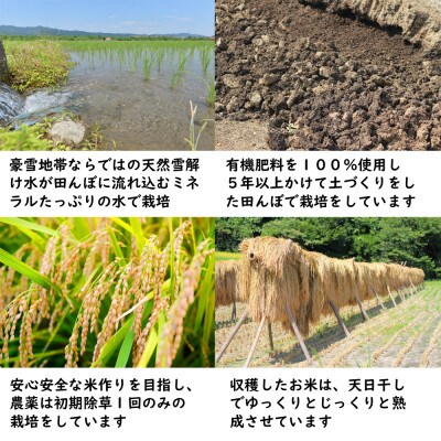 新潟県魚沼産コシヒカリ「別格」白米5kg(5kg×1袋)