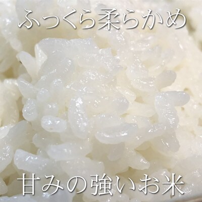 新潟県魚沼産コシヒカリ「別格」白米5kg(5kg×1袋)