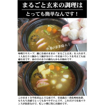 〈冷凍〉まるごと玄米(20個入り)5袋でお届け