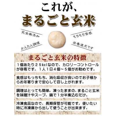 〈冷凍〉まるごと玄米(20個入り)10袋でお届け