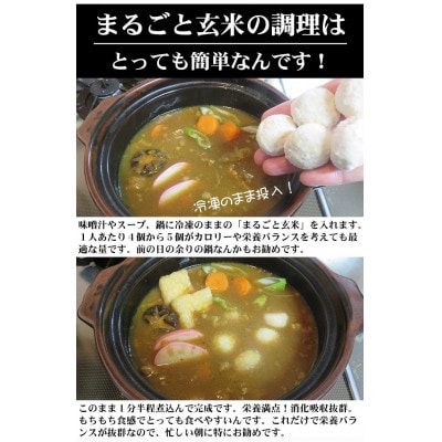 〈冷凍〉まるごと玄米(20個入り)10袋でお届け