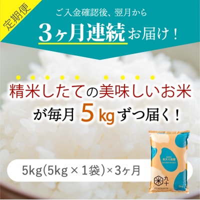 【定期便 3ヶ月】 令和7年産 米 青天の霹靂 5kg 青森県産  定期便3回 5kg×3回