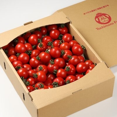 先行受付【期間限定】産地直送!杤本農園 フルーツトマト 3kg入り【45-7】