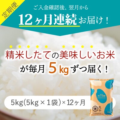 【定期便 12ヶ月】 米 青天の霹靂 5kg 青森県産 定期便12回 5kg×12回