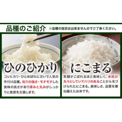 【令和8年5月発送】令和7年産 備中笠岡ふるさと米10kg