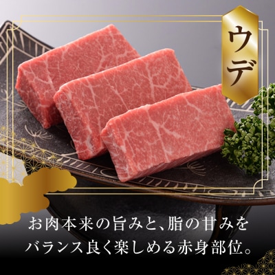 【高級】飛騨牛A5ランク うでしゃぶしゃぶ 700g 【39-1】