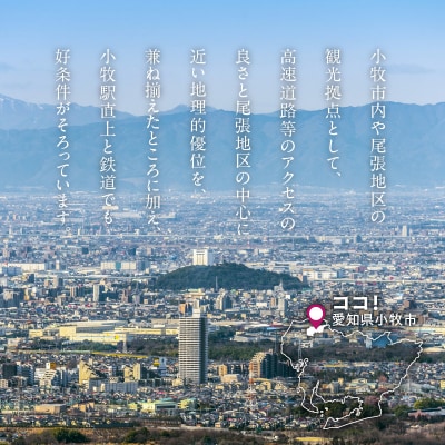 小牧市観光や出張にオススメ　1泊朝食付き宿泊券(シングル)[018M10]