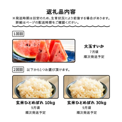 【2回定期便】大玉すいか 米 新米 ひとめぼれ 玄米 30kg 令和8年産 山形県 大石田町産