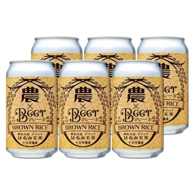 TDM 1874 Brewery クラフトビール 農×Beer(のびーる)はるみ玄米 350ml×6
