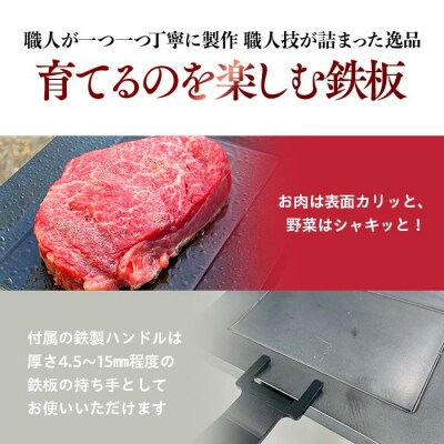 ミニ鉄板(極)ハンドル付き〈羽咋工業〉1枚