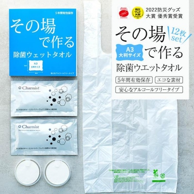 その場で作る除菌ウエットタオル12枚セット