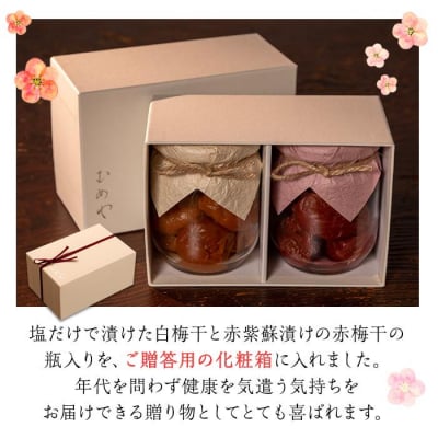 杉田梅の白梅干と赤梅干のセット　1個