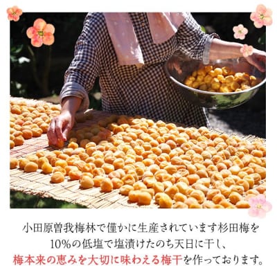 杉田梅の白梅干　プラパック入り　1個