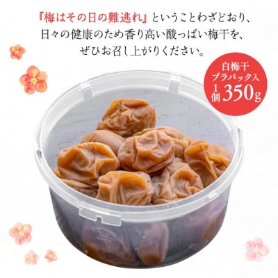 杉田梅の白梅干　プラパック入り　1個