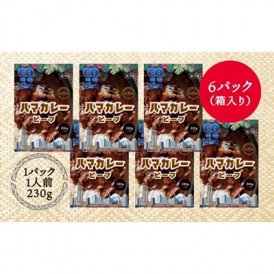 サンアロハ「ハマカレー　ビーフ　6個パック」