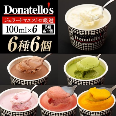 ジェラートマエストロ厳選《ドナテロウズ》ジェラート6種6個セット