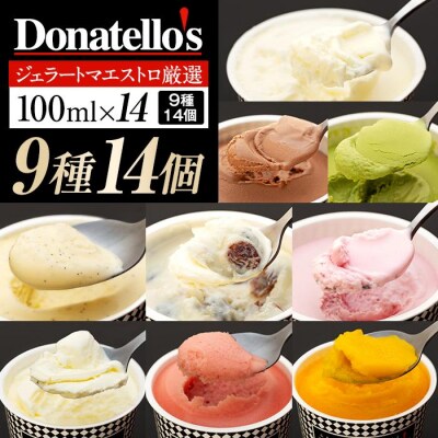 ジェラートマエストロ厳選《ドナテロウズ》ジェラート9種14個セット