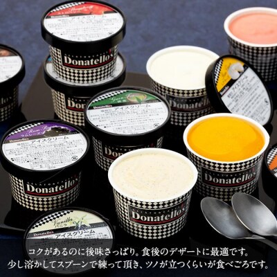 ジェラートマエストロ厳選《ドナテロウズ》ジェラート9種14個セット