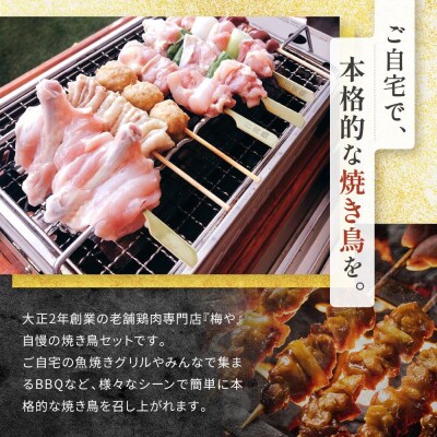 鶏肉専門店の焼き鳥セット(焼き鳥20本・チキンソーセージ2本・焼き鳥たれ(10ml)4パック付)