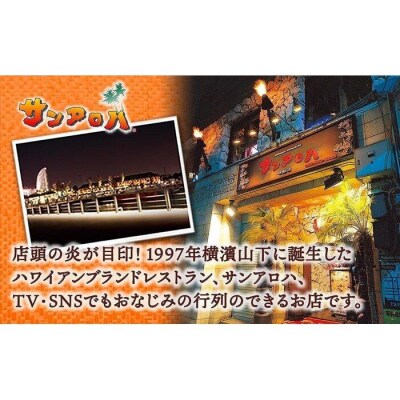 サンアロハ「ハマカレー　ビーフ　230g×4個パック」