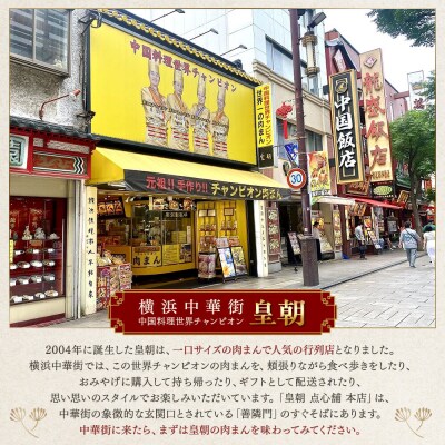 中華点心詰合せE(6種 計61個)＜横浜中華街 皇朝＞