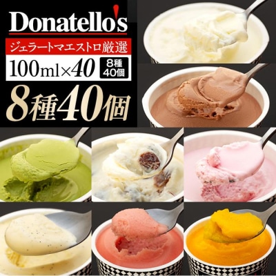 ジェラートマエストロ厳選《ドナテロウズ》ジェラート8種40個セット