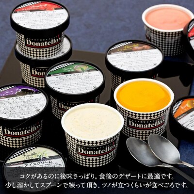 ジェラートマエストロ厳選《ドナテロウズ》ジェラート8種40個セット