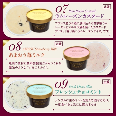 ハンデルスベーゲン 無添加アイスクリーム / 12個セット