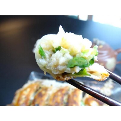 本格中華「公珠」しその香り漂う肉汁たっぷり『みやじ豚しそ餃子ぎょうざ』60個入り