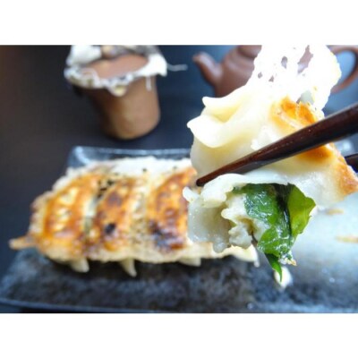 本格中華「公珠」しその香り漂う肉汁たっぷり『みやじ豚しそ餃子ぎょうざ』100個入り