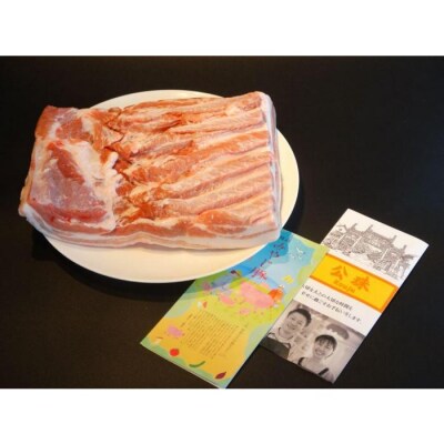 本格中華「公珠」しその香り漂う肉汁たっぷり『みやじ豚しそ餃子ぎょうざ』100個入り