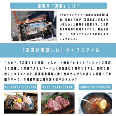 凍眠マジック 家庭用 急速冷凍庫|急速冷凍でうまみを閉じ込める家庭用冷凍庫