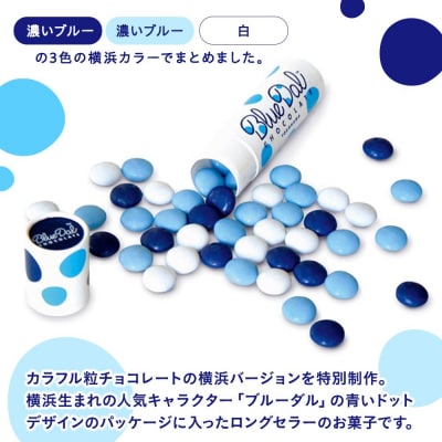 青と白の横浜限定　ブルーダルチョコレート(20本入)