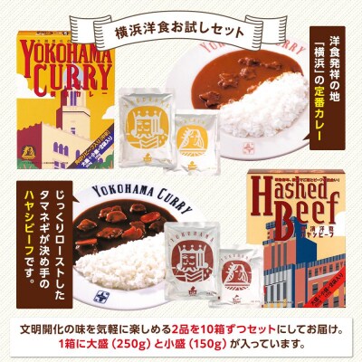 洋食発祥の地　横濱カレー&ハヤシビーフセット各10箱(1箱に大盛250g・小盛150g)