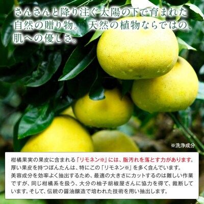 然-しかり- ぼんたんクレンジング