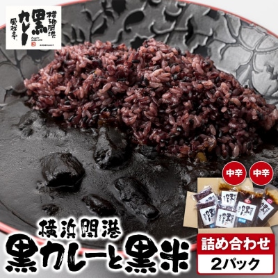 風我亭の横浜開港黒カレーと黒米の詰め合わせ　2パック【中辛2個】