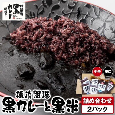 風我亭の横浜開港黒カレーと黒米の詰め合わせ　2パック【辛口1個、中辛1個】