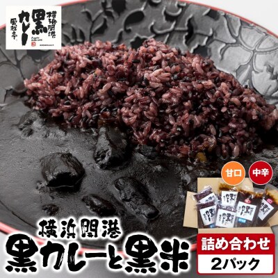 風我亭の横浜開港黒カレーと黒米の詰め合わせ　2パック【中辛1個、甘口1個】