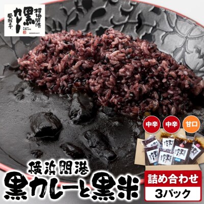 風我亭の横浜開港黒カレーと黒米の詰め合わせ　3パック【中辛2個、甘口1個】