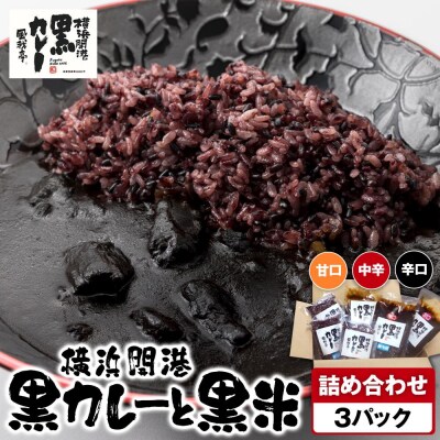 風我亭の横浜開港黒カレーと黒米の詰め合わせ　3パック【辛口1個、中辛1個、甘口1個】