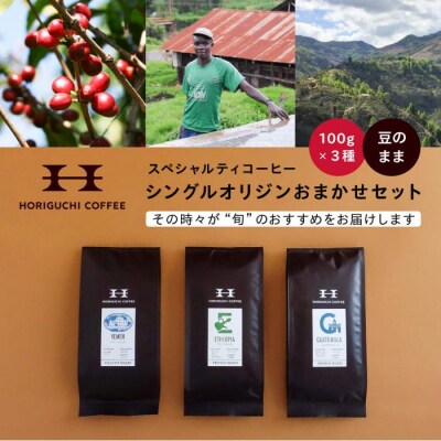 ＜スペシャルティコーヒー＞旬のおすすめシングルオリジン3種セット(100g×3種:豆のまま)