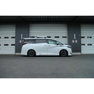 RX1 アルファード/ヴェルファイア用車高調　適合型式 AAHH45W/AAHH45W(EL)