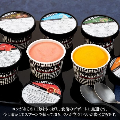【母の日ギフト】ジェラートマエストロ厳選《ドナテロウズ》ジェラート6種6個セット