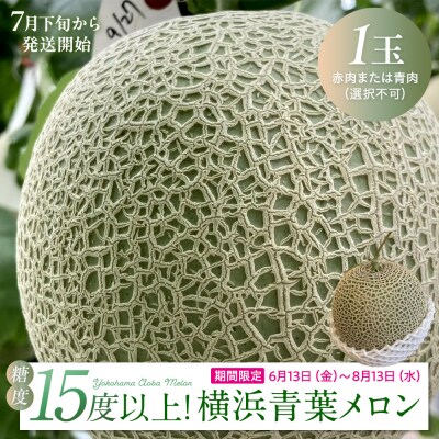 糖度15度以上!横浜青葉メロン1玉(赤肉または青肉)(7月下旬から発送開始)