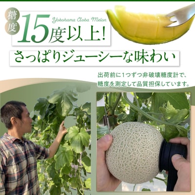 糖度15度以上!横浜青葉メロン1玉(赤肉または青肉)(7月下旬から発送開始)